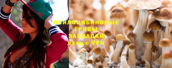 прущая мука Козельск