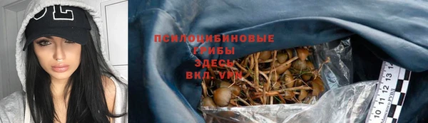 2c-b Козловка