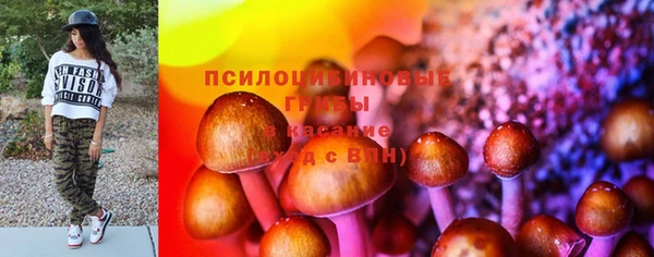 прущая мука Козельск